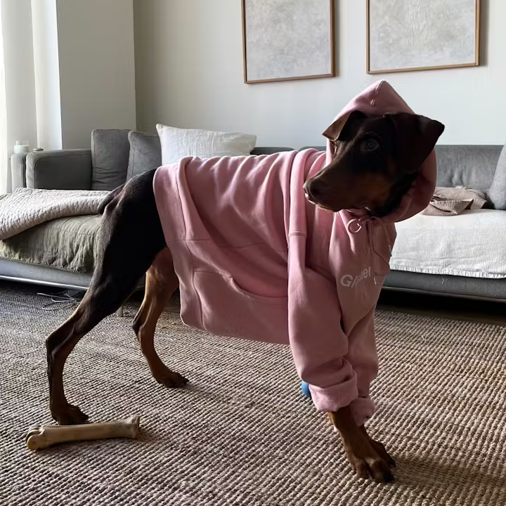 Original Pink Hoodie - Glossier
