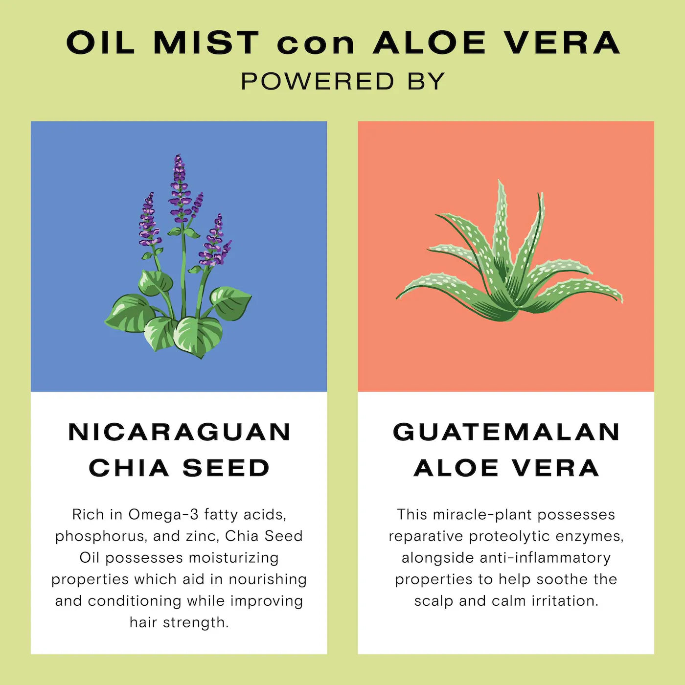 Hair Oil Mist con Aloe Vera - ceremonia