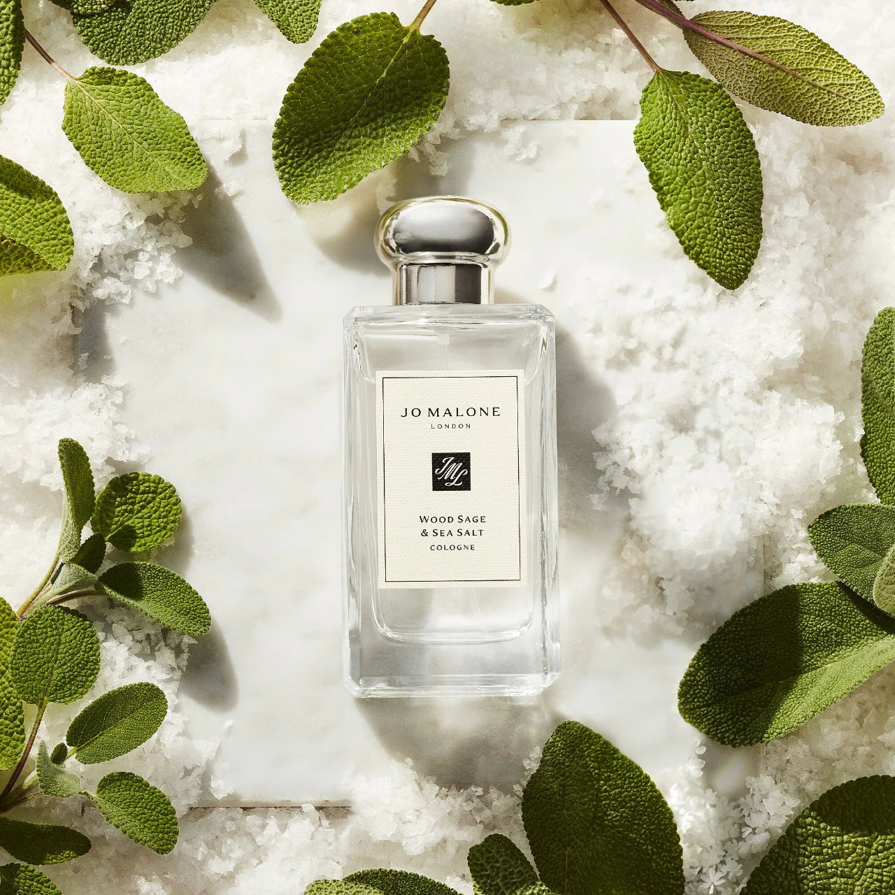 Wood Sage & Sea Salt Cologne – Jo Malone London